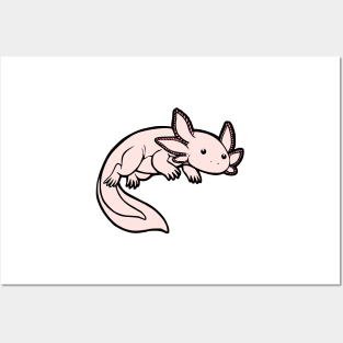 Pink Axolotl Salamander Newt Posters and Art